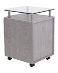Gray Glass And Metal Two Drawer Rolling Filing Cabinet