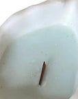 6" Light Blue Sea Salt And Orchid Scented Soy Wax Candle In White Resin Novelty Holder
