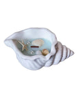 6" Light Blue Sea Salt And Orchid Scented Candle In White Resin Novelty Holder With Shells
