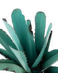 11" Turquoise Metal Succulent Garden Hanging Wall or Door Decor