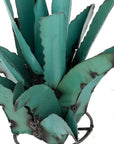 20" Turquoise Metal Succulent Garden Hanging Wall or Door Decor