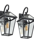 Black Transparent Outdoor Hanging Light