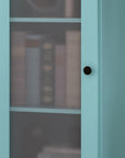 36" Aqua Solid Wood Adjustable Three Tier Library Bookcase with One Door