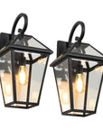 Black Transparent Outdoor Hanging Light