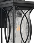 Black Transparent LED Outdoor Hanging Light