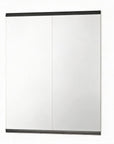 Set of Two 71" X 31" Frameless Work Out Mirrors