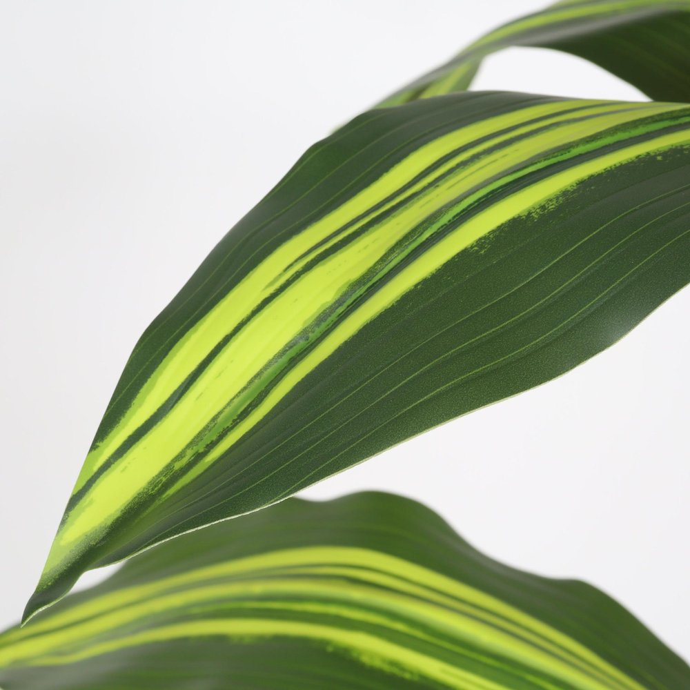 60" Green Artificial Dracaena Tree In Round Black Pot