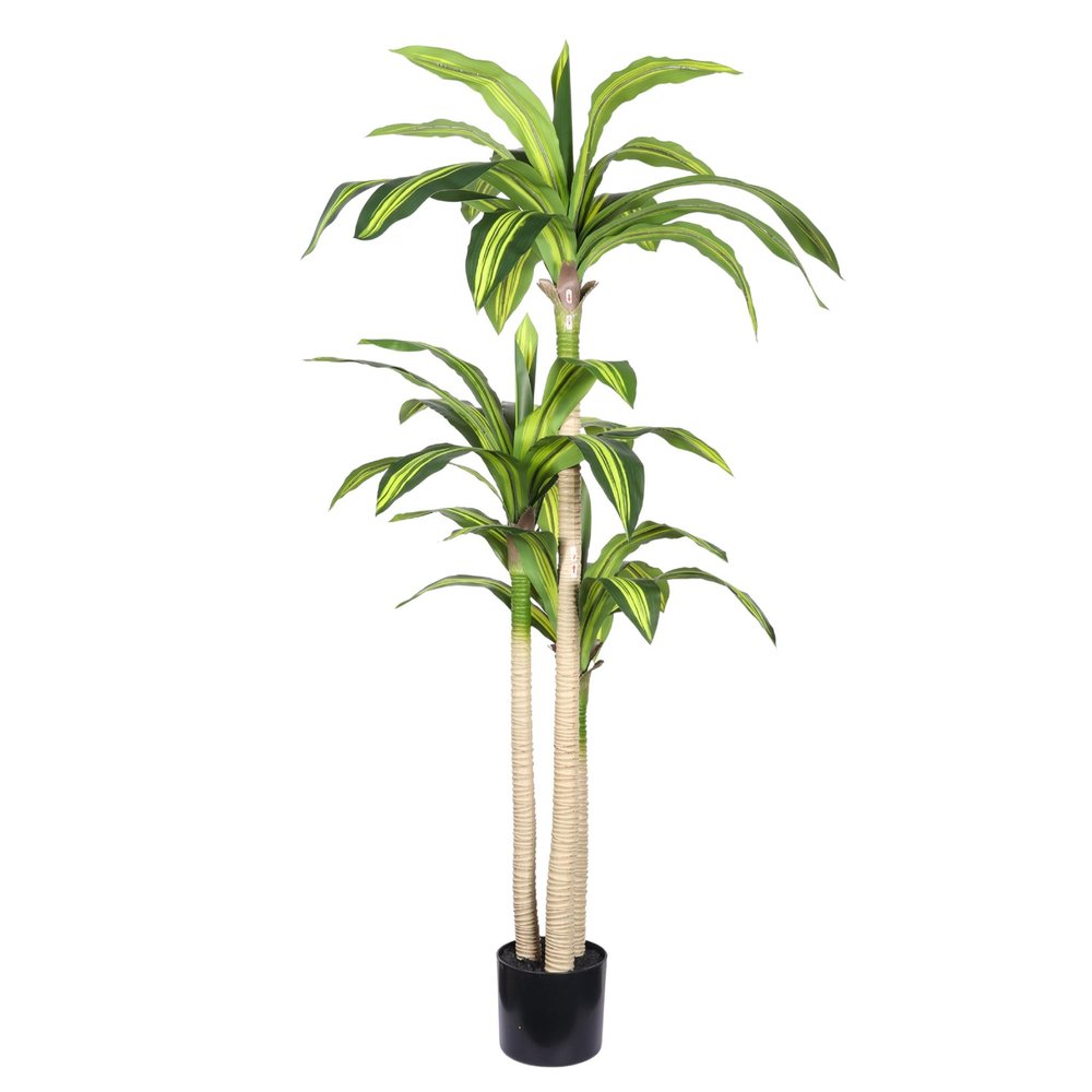 60" Green Artificial Dracaena Tree In Round Black Pot