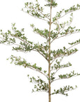 84" Green Artificial Olive Tree In Round Black Pot