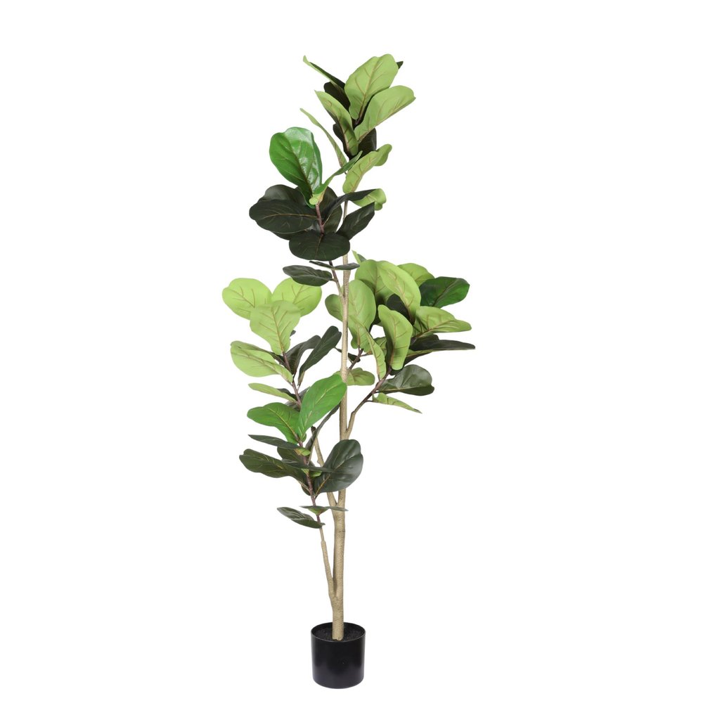 72" Green Artificial Fiddle Leaf Tree In Round Black Pot