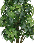 62" Green Artificial In Round Black Pot
