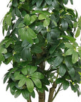 62" Green Artificial In Round Black Pot