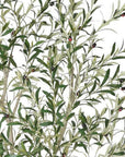 96" Green Artificial Olive Tree In Round White Pot