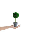 Set of Three 10" Green Artificial Boxwood Tree In Round Black Planter