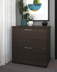 Modubox Logan Lateral File Cabinet, image 3
