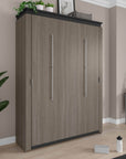 Modubox Orion 65"W Queen Murphy Wall Bed, image 12