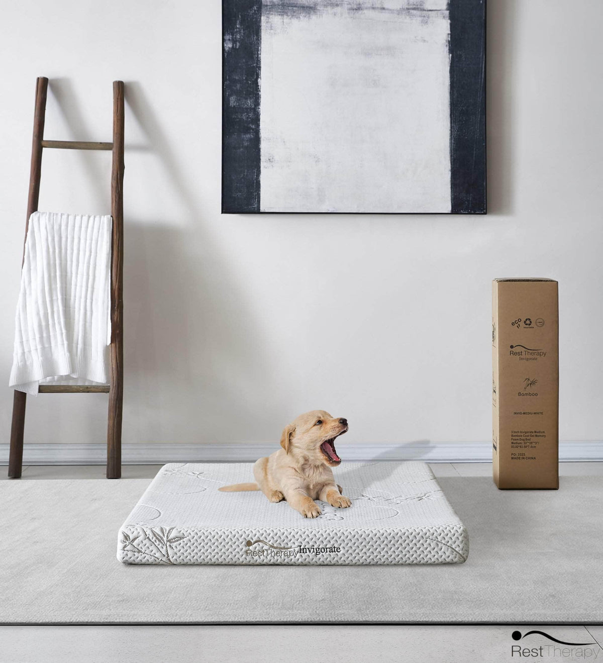 Rest Therapy 3 Inch Invigorate Bamboo Cool Gel Memory Foam Dog or Cat Bed Pet Mattress, image 1